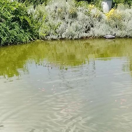Domaine Le Lanis Chambre D'Hotes Piscine Spa Privatise Sur Reservation Saint-Girons  Kültér fotó