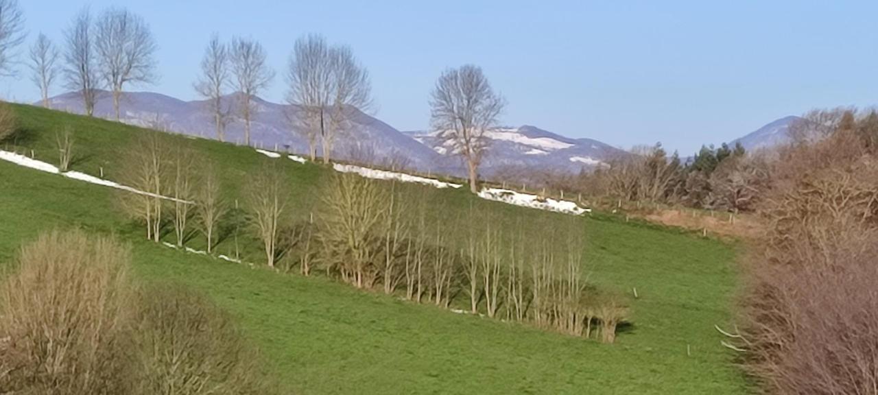 Domaine Le Lanis Chambre D'Hotes Piscine Spa Privatise Sur Reservation Saint-Girons  Kültér fotó