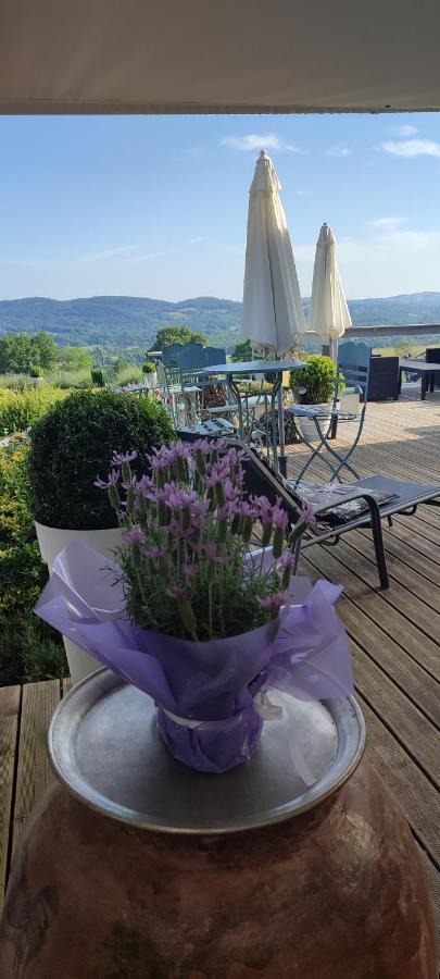 Domaine Le Lanis Chambre D'Hotes Piscine Spa Privatise Sur Reservation Saint-Girons  Kültér fotó