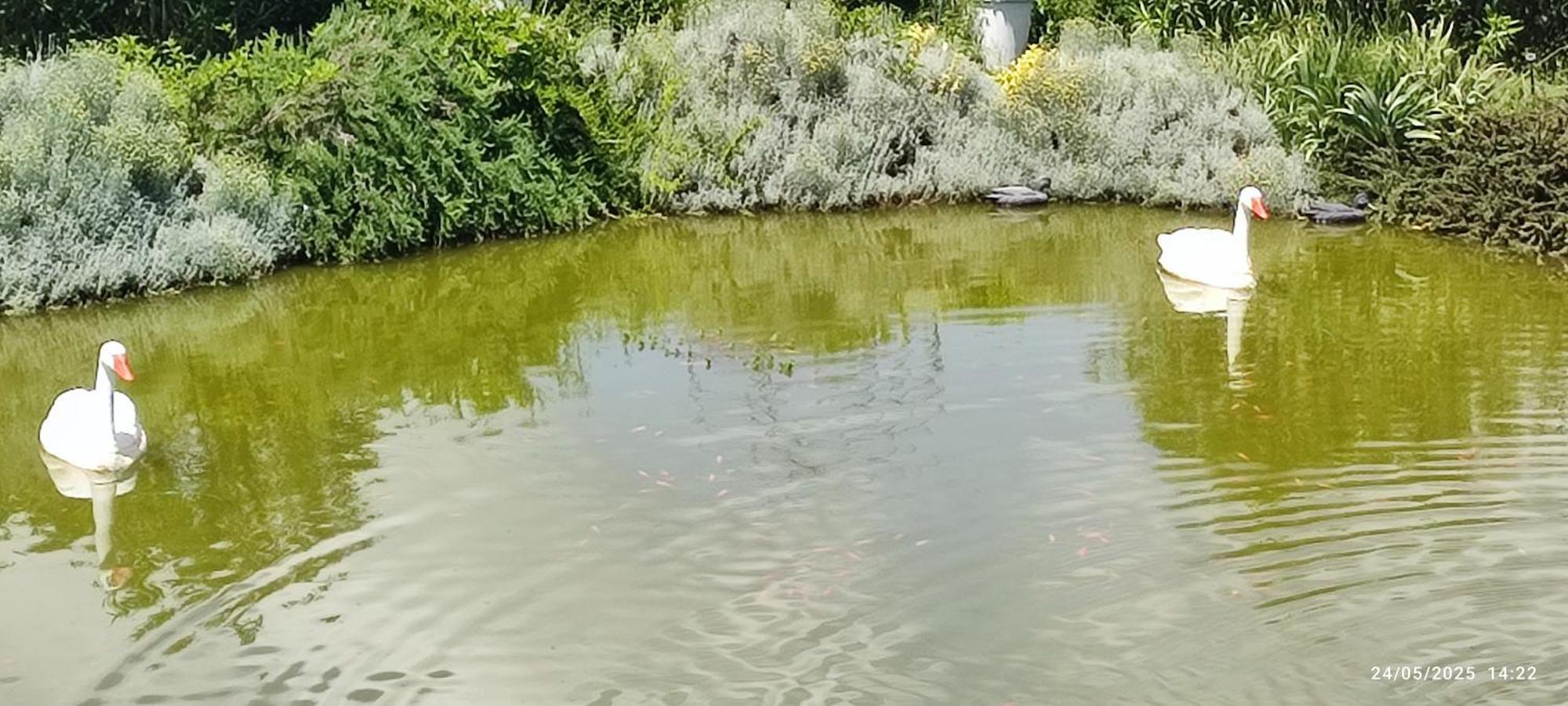 Domaine Le Lanis Chambre D'Hotes Piscine Spa Privatise Sur Reservation Saint-Girons  Kültér fotó